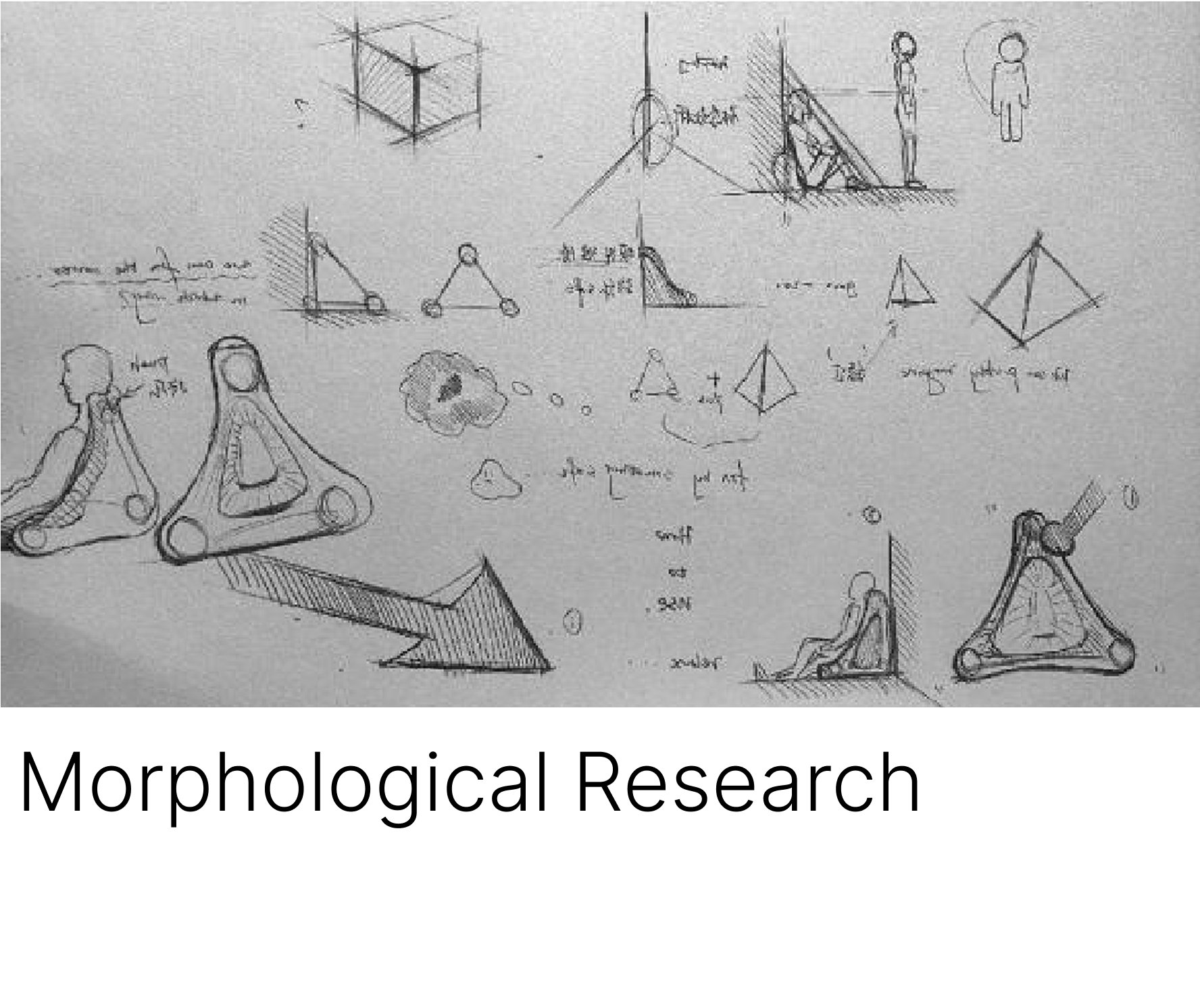 Morphological